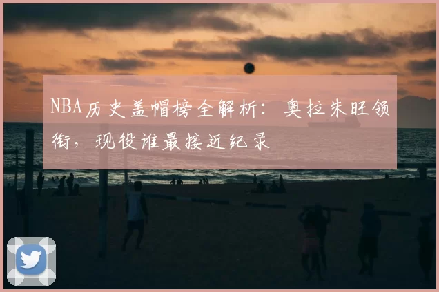 NBA历史盖帽榜全解析:奥拉朱旺领衔,现役谁最接近纪录