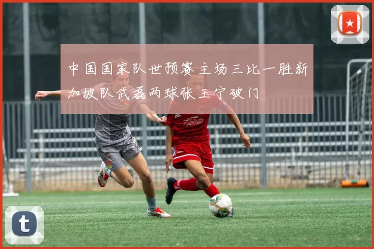 中国国家队世预赛主场三比一胜新加坡队武磊两球张玉宁破门